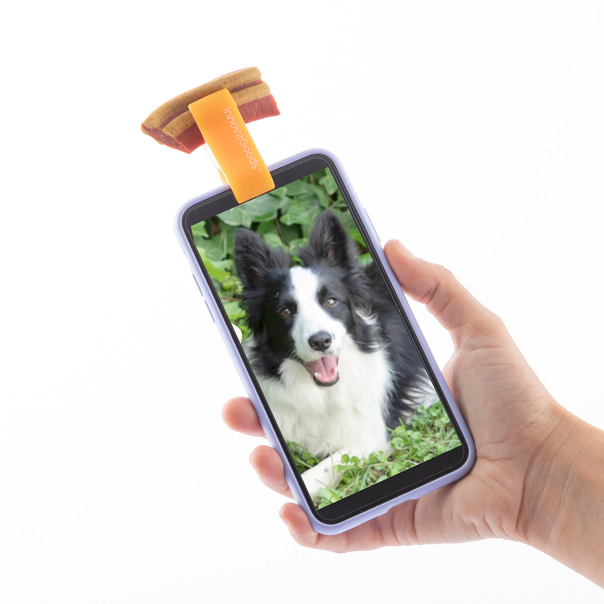 Selfie-Clip für Haustiere