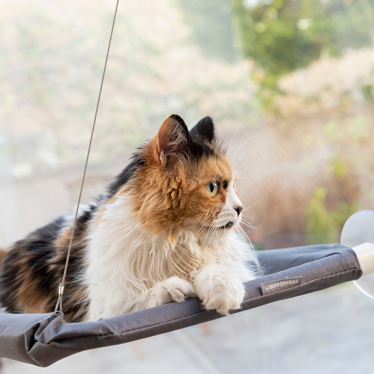 Hängematte für Katzen
