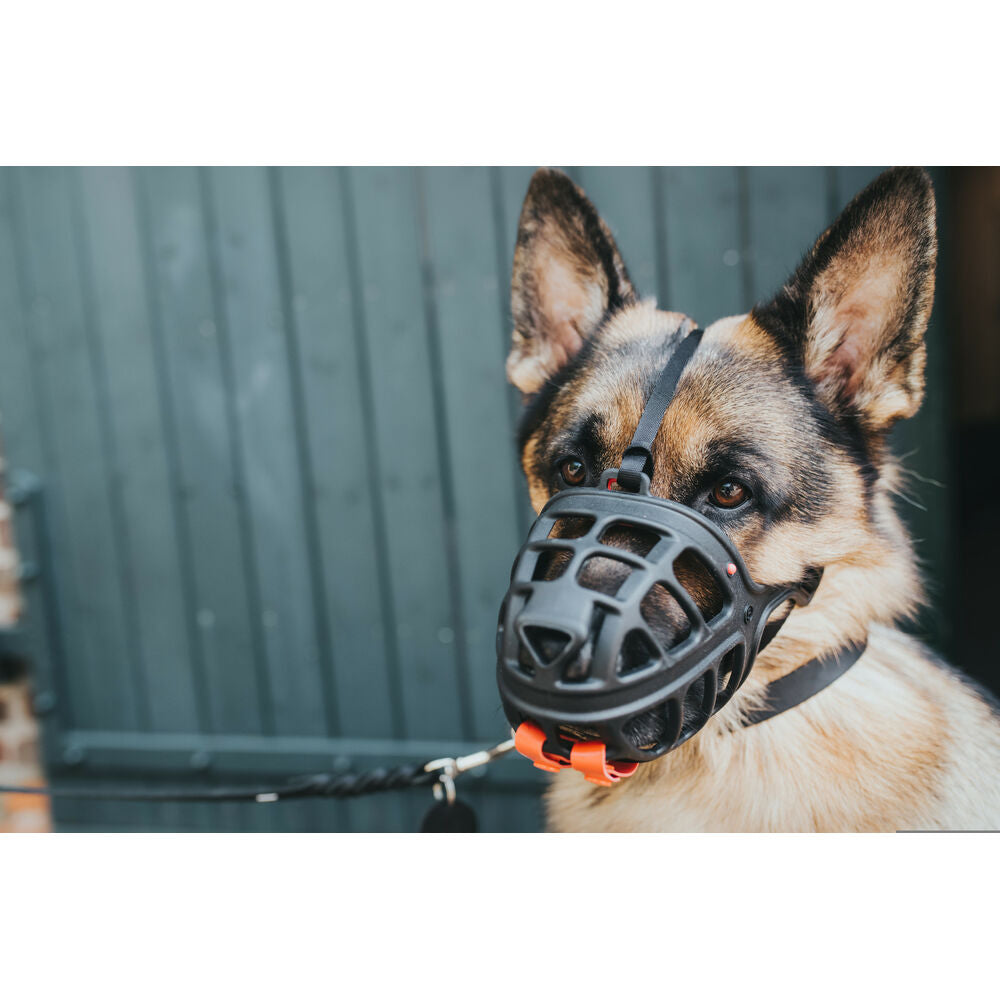 Maulkorb Hunter Albury, schwarz, Größe 6