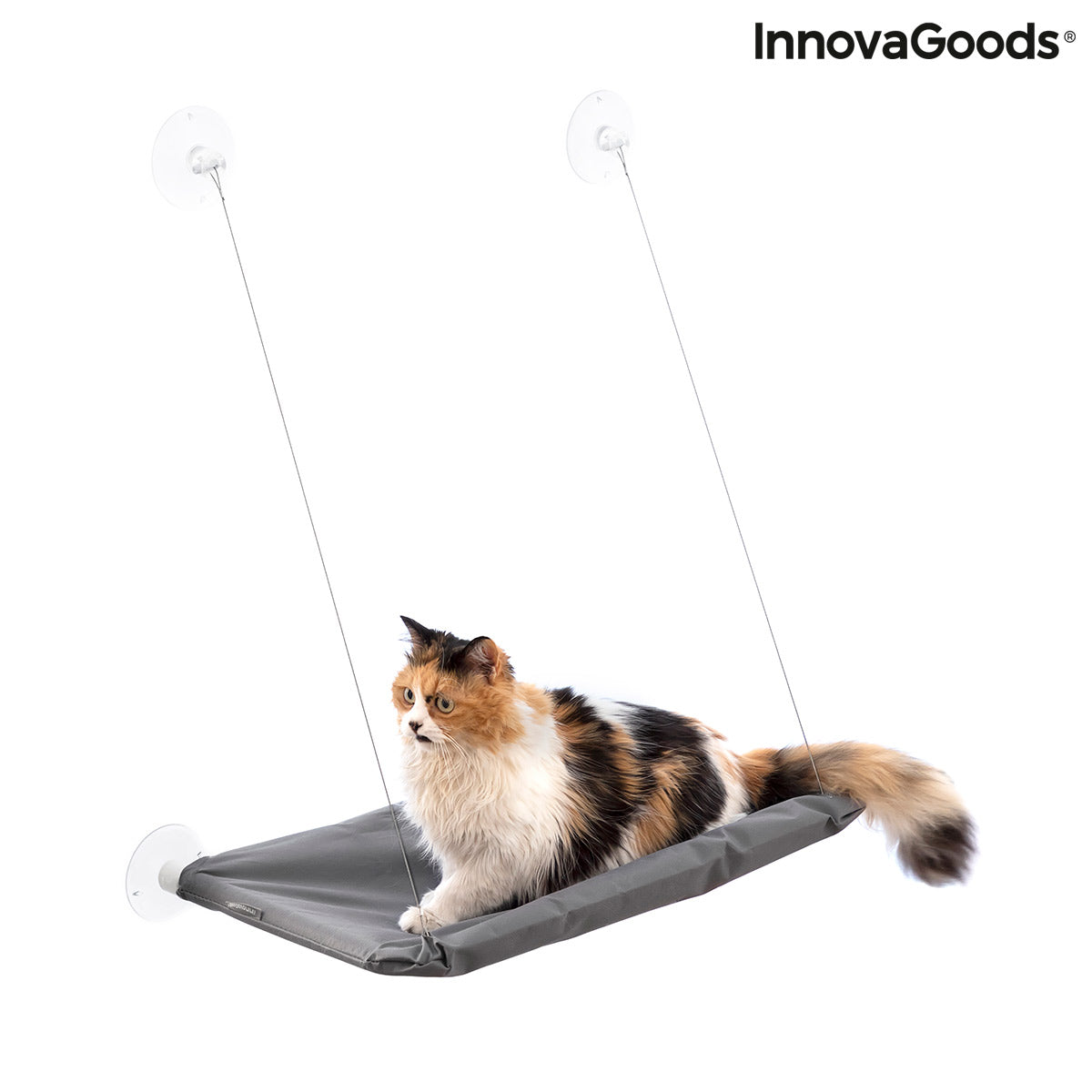 Hängematte für Katzen