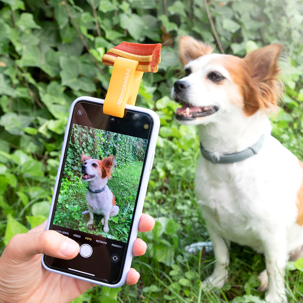 Selfie-Clip für Haustiere